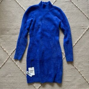 Sunday Best (Aritzia) Fuzzy Bodycon Sweater Dress